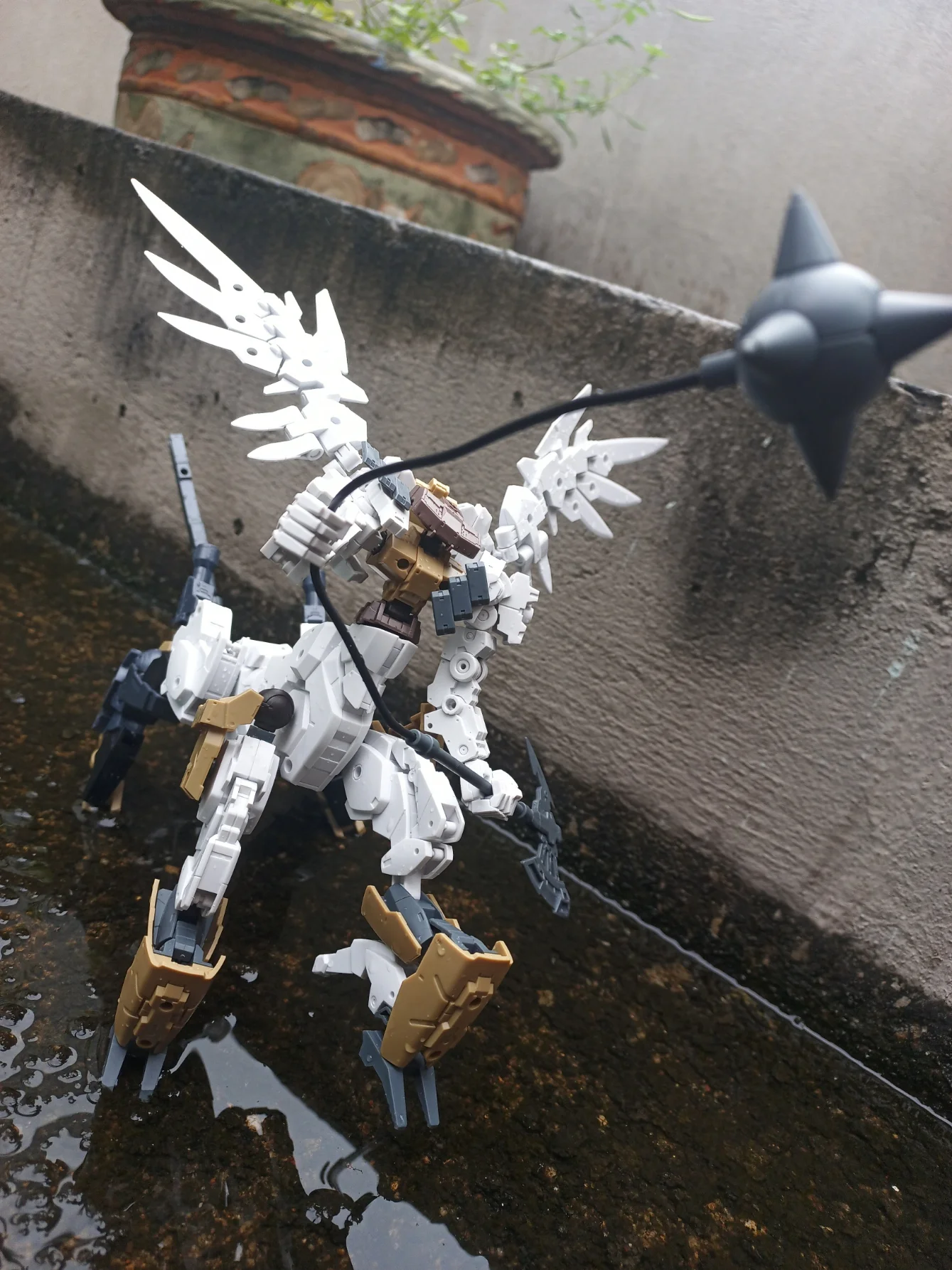 Ảnh dự thi - Nguyễn Hoàng Tuấn