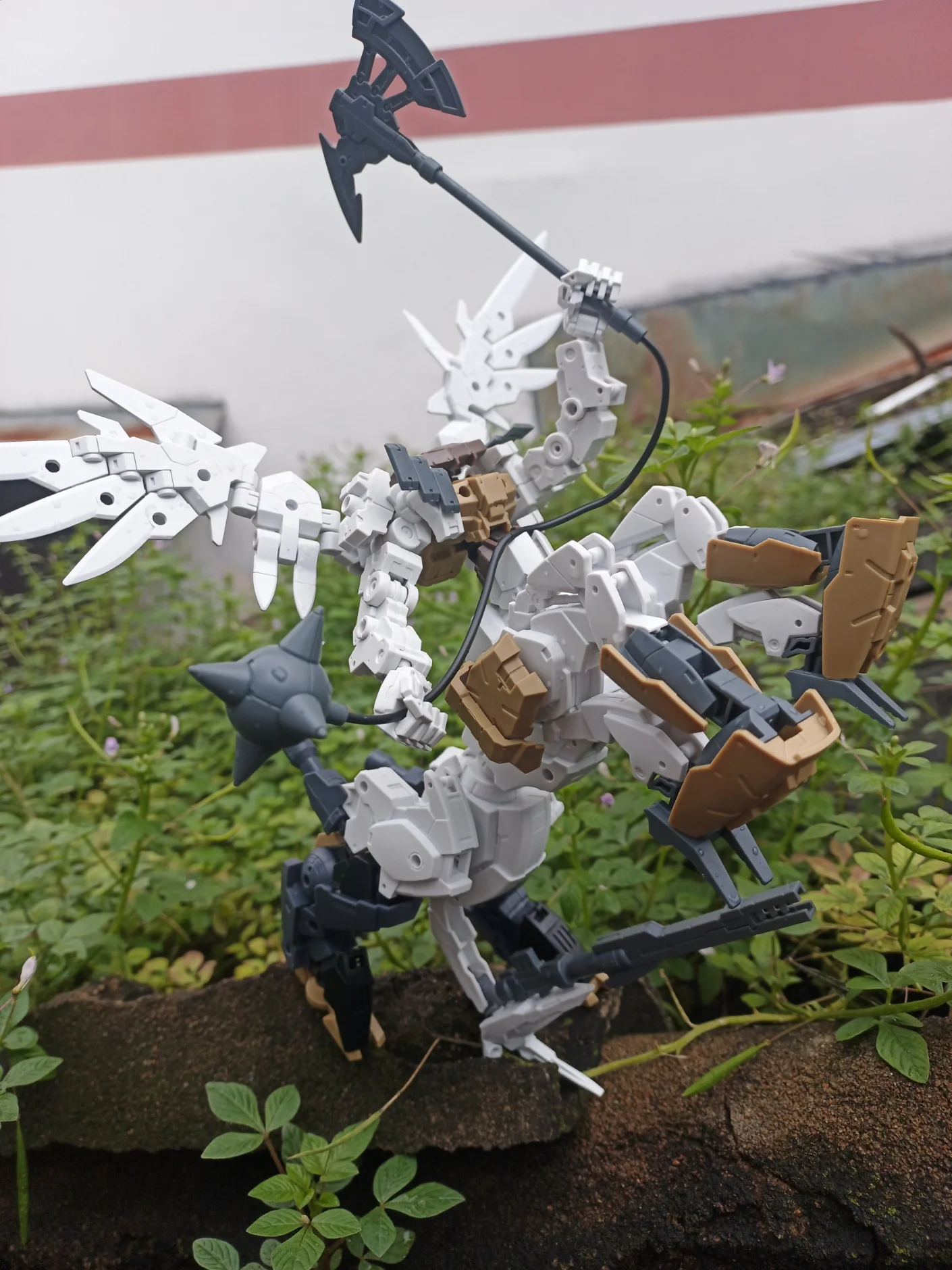 Ảnh dự thi - Nguyễn Hoàng Tuấn