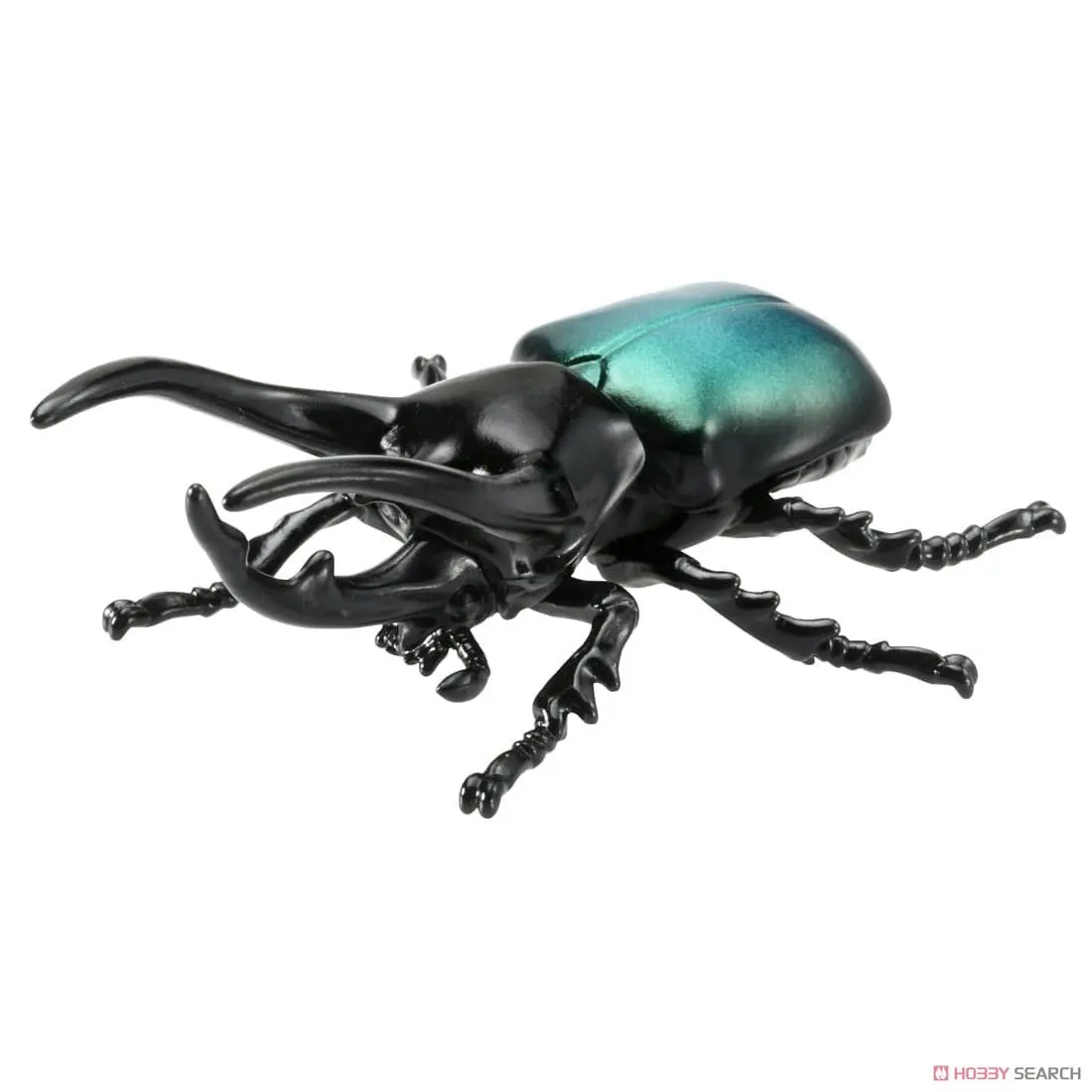 Mô hình Bọ Cánh Cứng ANIA AS-39 Insects Caucasian Beetle