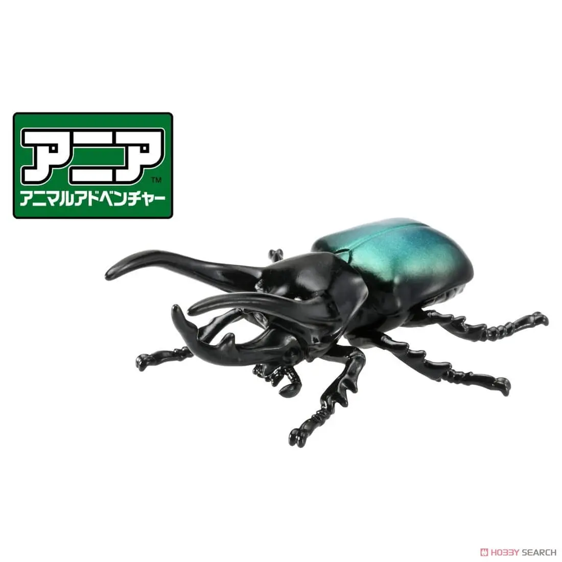 Mô hình Bọ Cánh Cứng ANIA AS-39 Insects Caucasian Beetle