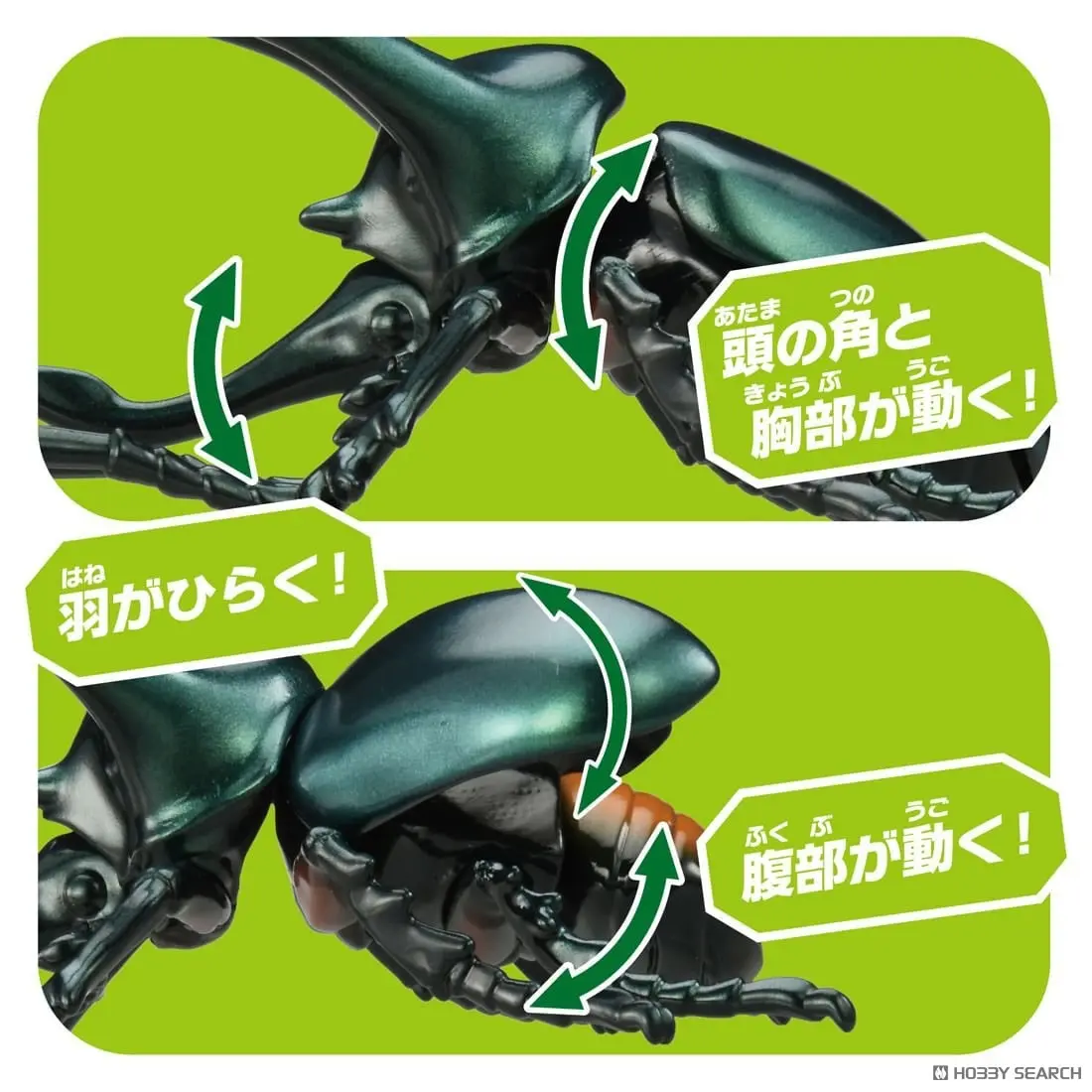 Mô hình Bọ Cánh Cứng ANIA AL-18 Atlas Beetle