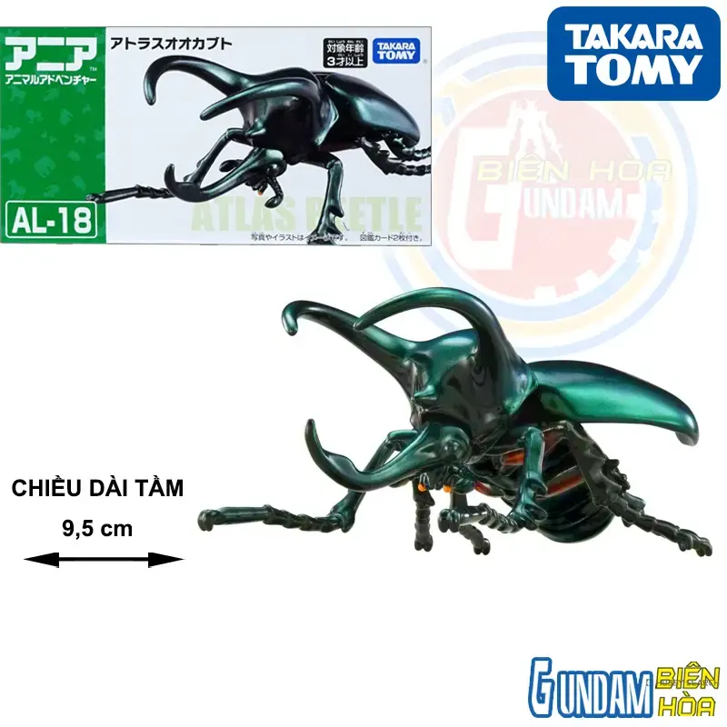 Mô hình Bọ Cánh Cứng ANIA AL-18 Atlas Beetle