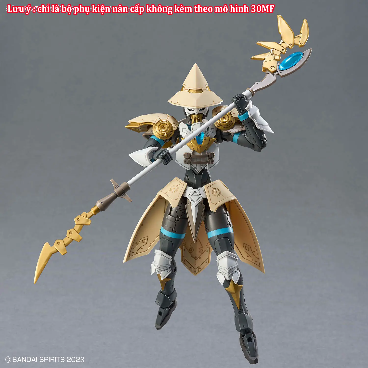 30MF CLASS UP ARMOR (LIBER SORCERER)