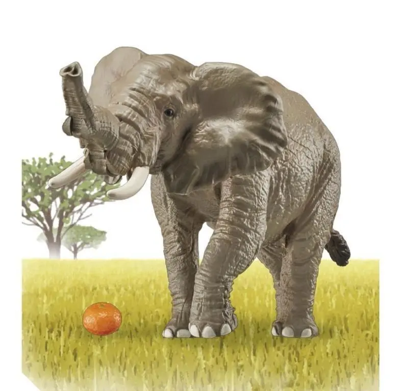 ANIA AS-02 African Elephants (With orange)