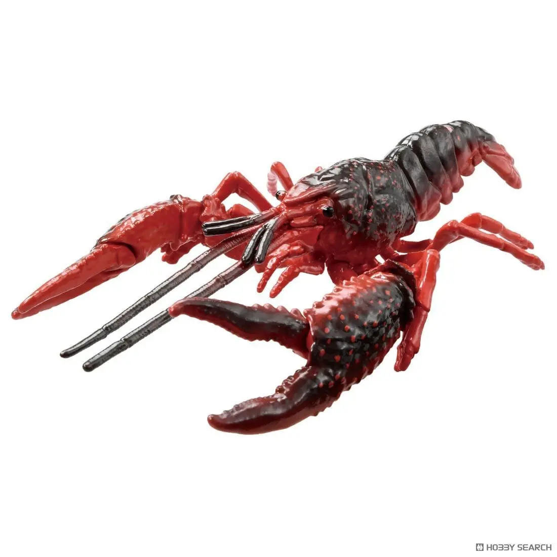 Ania AL-31 Crayfish