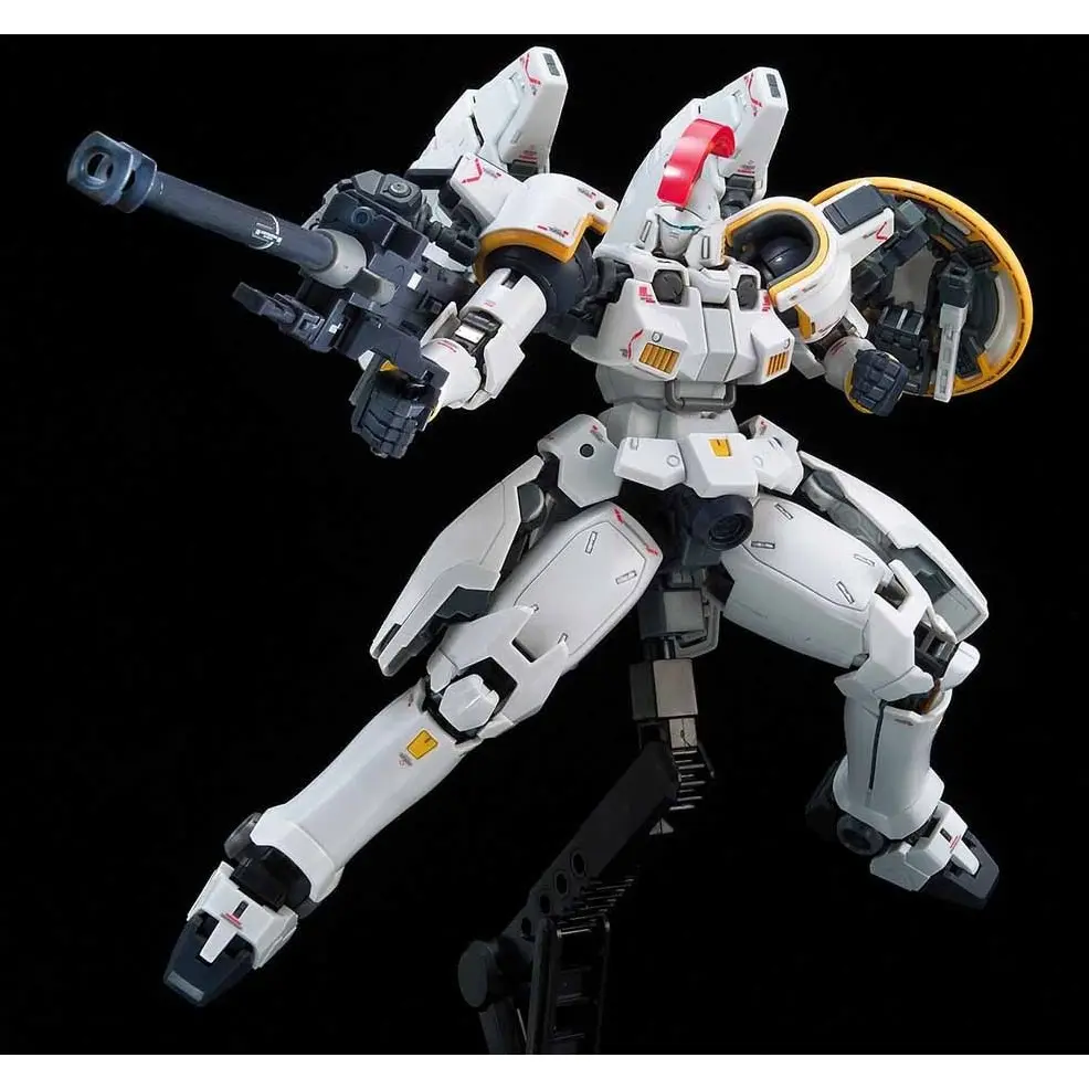 Mô hình lắp ráp RG 1/144 TALLGEESE EW