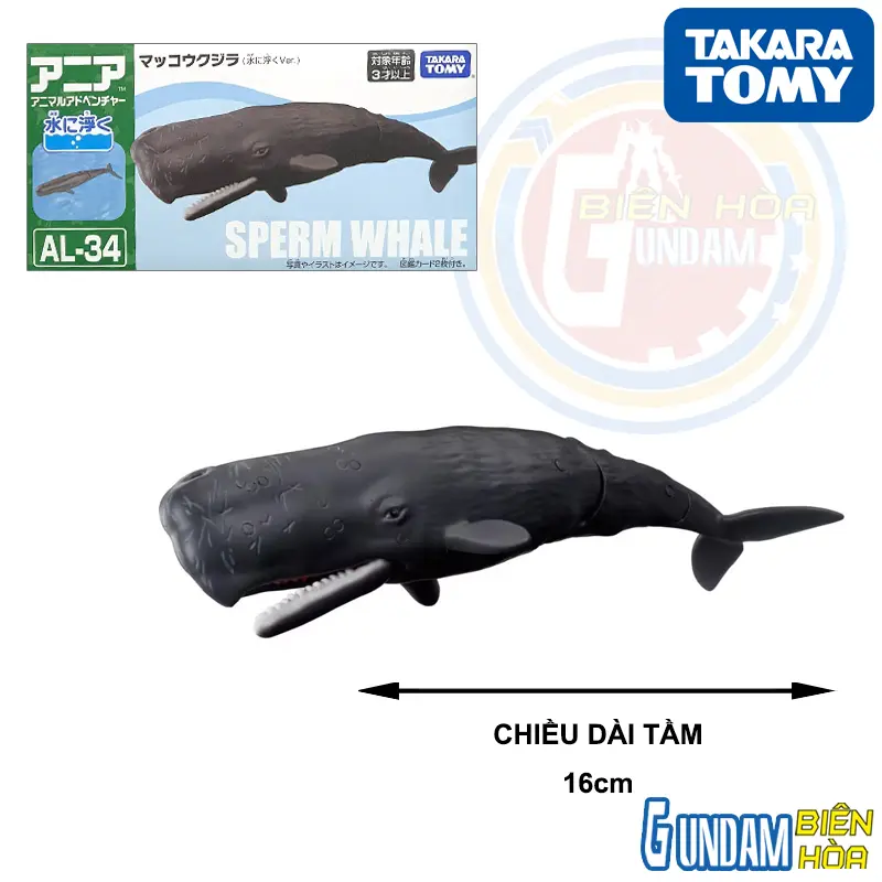 Mô hình ANIA AL-34 Sperm Whale