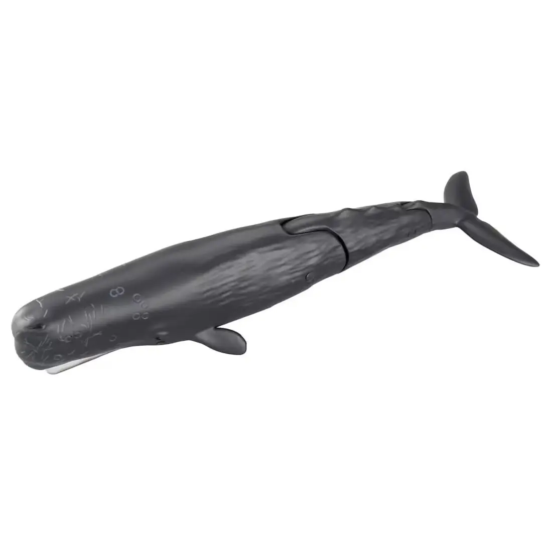 Mô hình ANIA AL-34 Sperm Whale