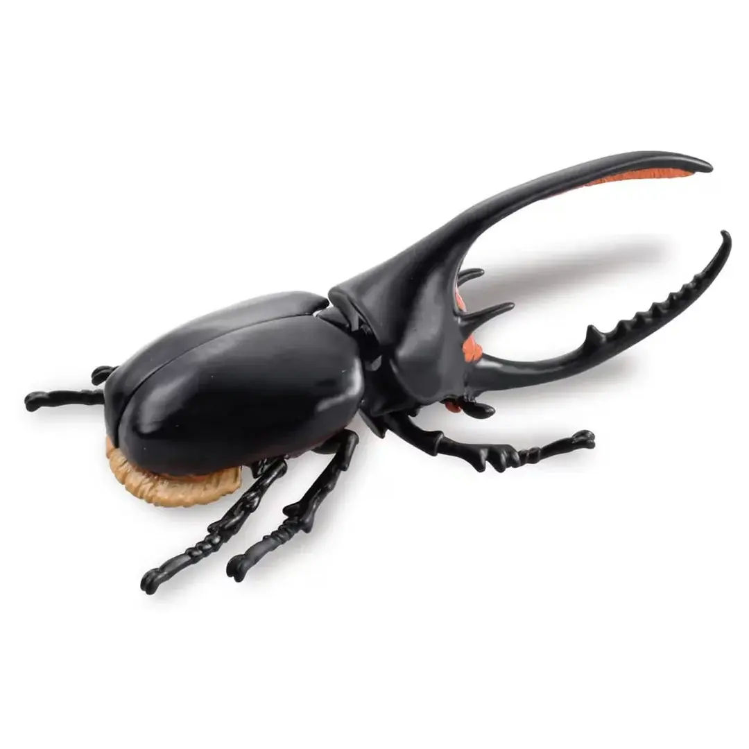 Mô hình Ania AL-39 Neptune Beetle
