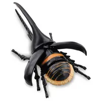 Mô hình Ania AL-39 Neptune Beetle
