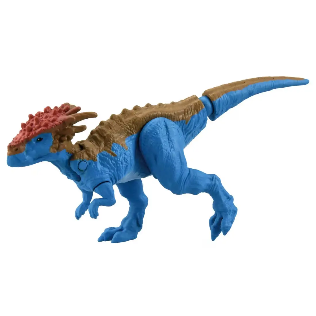 Mô hình Ania AS-24 Dracorex