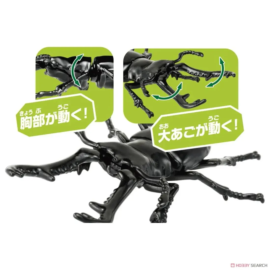 ô hình Ania AS-40 Prosopocoilus Giraffa