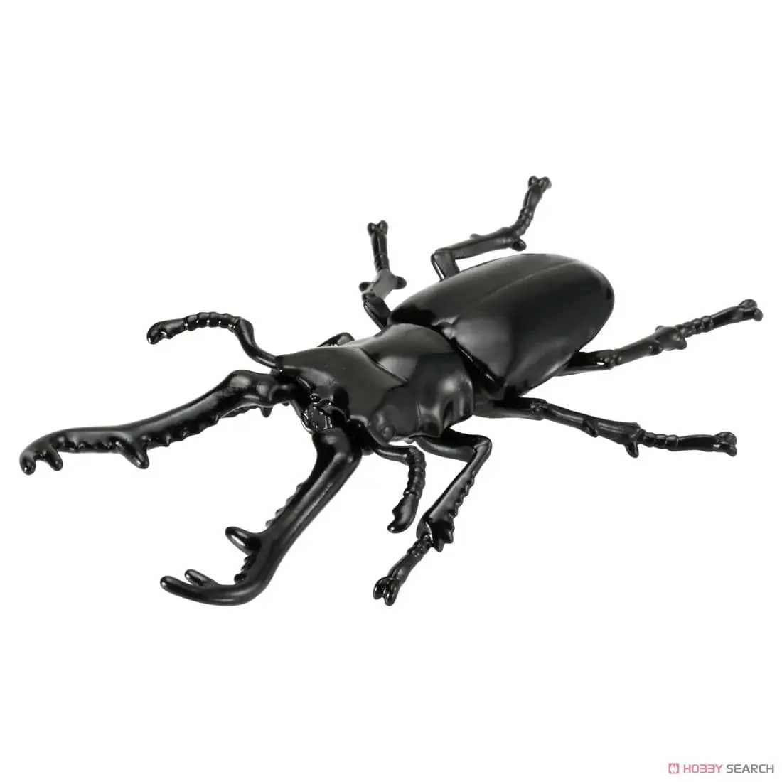 ô hình Ania AS-40 Prosopocoilus Giraffa